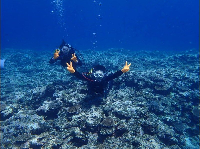 【Okinawa · Miyakojima】 Experience diving with boat! For those who are unsatisfactory on the beach even more dynamic and mysterious into the oceanの紹介画像