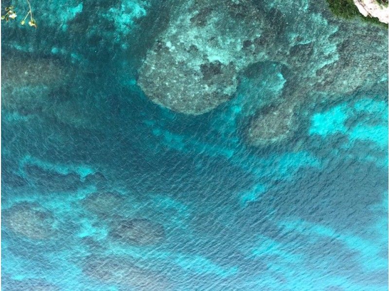 スプリングセール実施中！【沖縄・宮古島】ビーチファンダイビング！宮古島のビーチは格別！たくさんの魚・サンゴを見ることができるの紹介画像