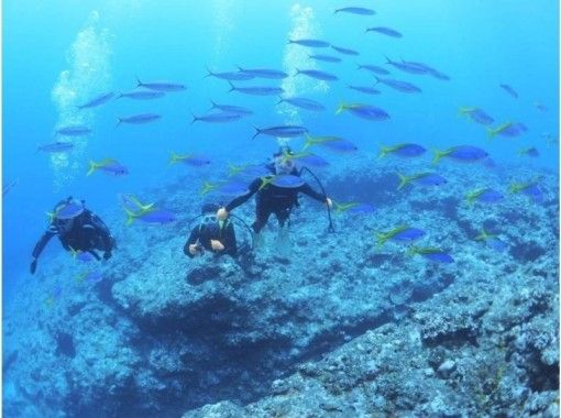 来間島を満喫できる！おすすめの体験・アクティビティ