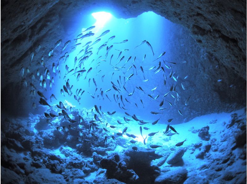 [Okinawa ・ Miyakojima]Miyakojima A boat fan who enjoys the sea Diving!