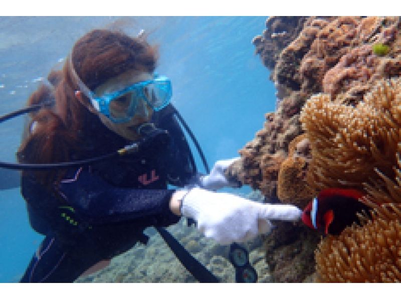 【 鹿儿岛 ·奄美】第一次更安全☆海滩体验深潜の紹介画像