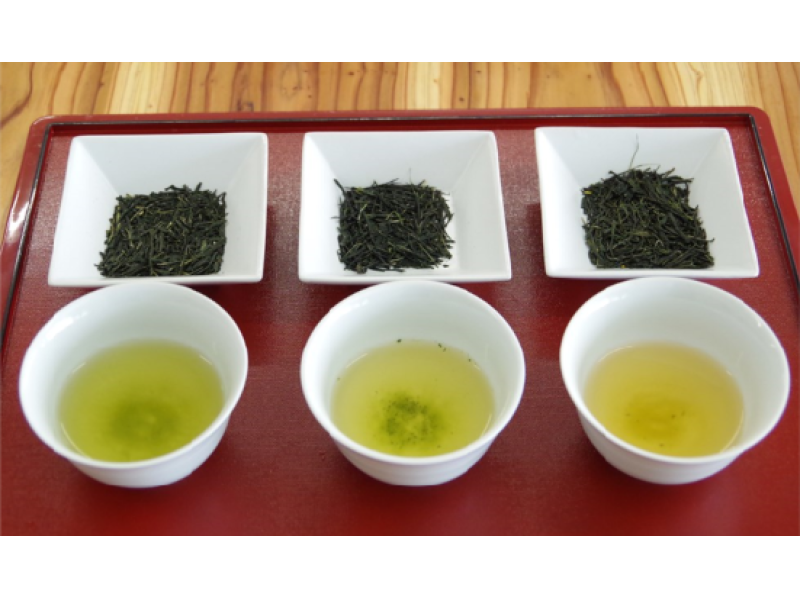 [京都/宇治]抹茶凍糕或日本茶冰淇淋對比和日本茶2種飲用對比（英語確定）の紹介画像