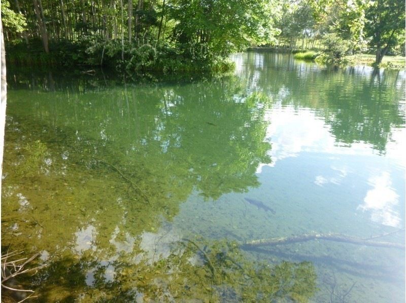 【北海道・ニセコ】1組限定 カヤックツアー！3歳からＯＫ！の紹介画像