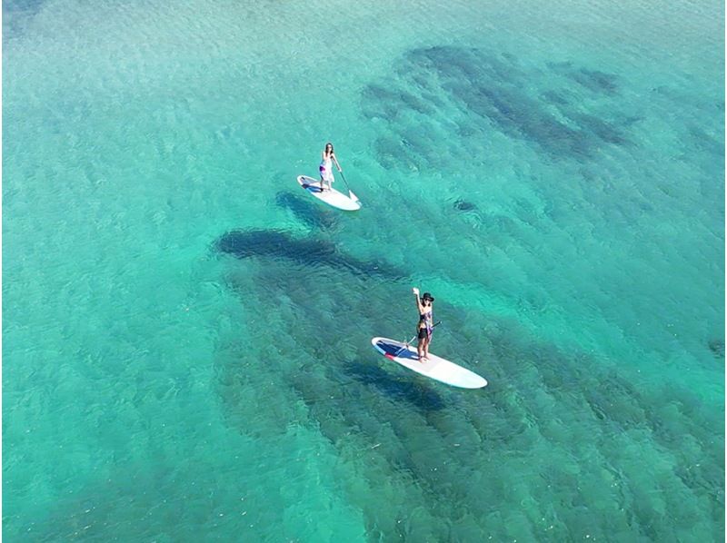 [South of Katsuura City, Chiba] Small group size! A popular "greedy plan" that includes a SUP experience and a mini SUP cruise.の紹介画像