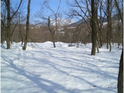 福井 六郎高原 嬰幼兒專用 雪域特有的雪雪上徒步雜項森林漫步計劃 1分鐘 Activityjapan