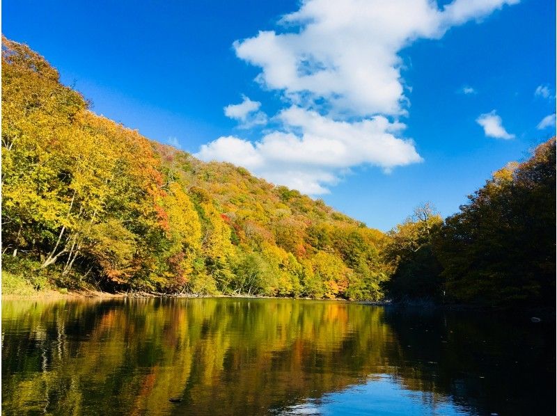 [北海道支Shi湖]透明皮艇之旅（秋葉季節）美景！旅遊照片和溫泉折扣、特惠票禮物♪の紹介画像