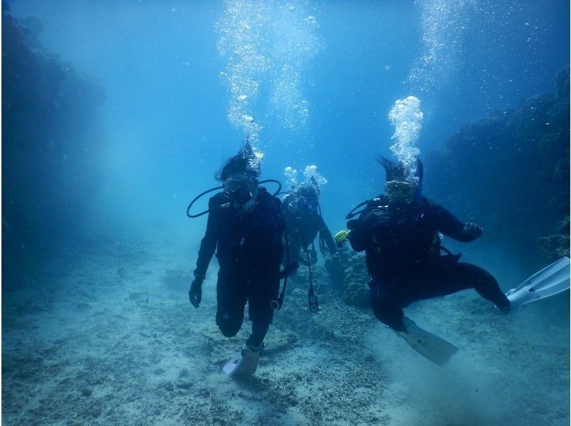 お得な沖縄ビーチ体験ダイビングの紹介画像