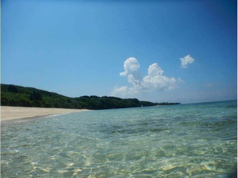 [沖繩中部]沙灘粉絲潛水！ <半天>の紹介画像