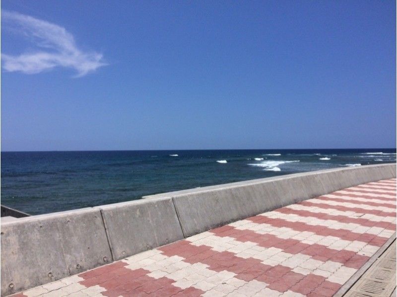 [Okinawa Chubu] Beach fan Diving! ＜ half-day ＞の紹介画像