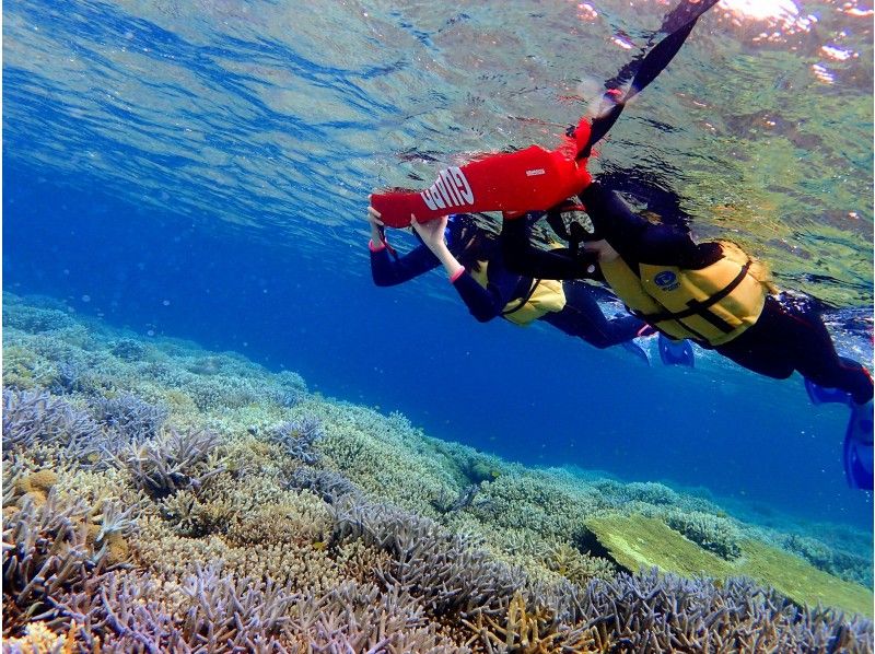 [โอกินาว่า / เกาะอิริโอะโมะเตะ] เกาะมหัศจรรย์! เกาะบาราสุ ทัวร์ดำน้ำตื้นครึ่งวันชมเศษปะการังの紹介画像