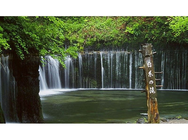 [นากาโนะ/ คารุอิซาวะ] การอาบน้ำในป่าพร้อมคำแนะนำของป่าคารุอิซาวะ "เดินเล่นชิโนะจิจิเดินป่า" (ประมาณ 3 ชั่วโมง)の紹介画像