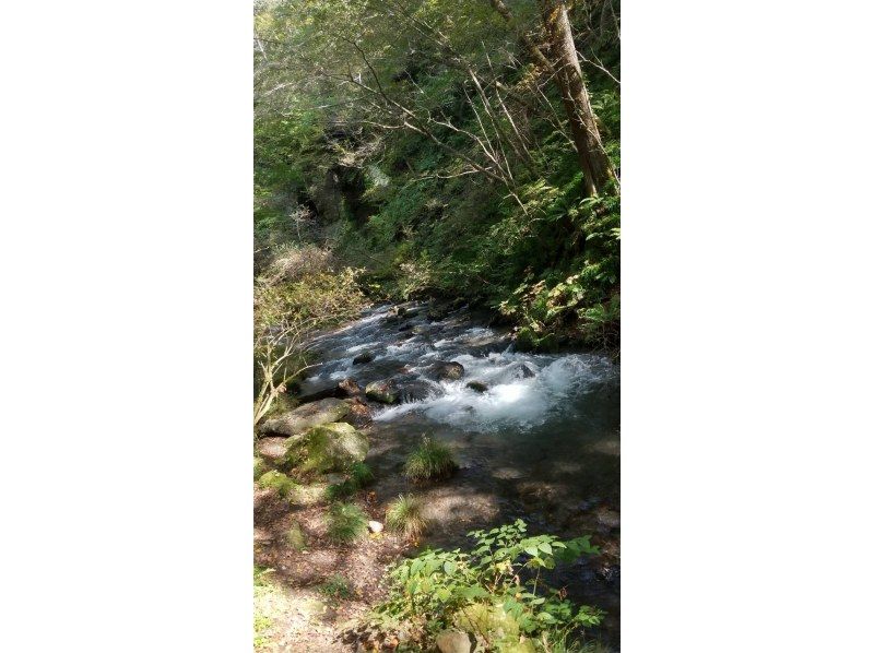 [長野/輕井澤]停在輕井澤的兩個著名瀑布，白石瀑布和琉球瀑布！ Shinanoji徒步旅行（約3小時）の紹介画像