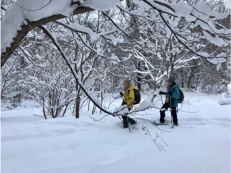 [北海道/札幌]雪林雪雪上徒步破坏之旅！附带数据的照片拍摄服务の紹介画像
