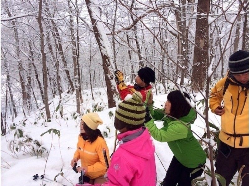 [北海道/札幌]雪林雪雪上徒步破坏之旅！附带数据的照片拍摄服务の紹介画像