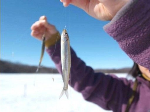 【北海道・網走】冬プログラム一番人気!網走湖ワカサギ釣り体験~釣った魚はその場で天ぷらに~ 【北海道・網走】冬プログラム一番人気!網走湖ワカサギ釣り体験~釣った魚はその場で天ぷらに~