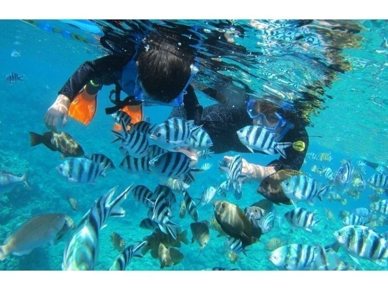 [National travel support registration store] [Blue cave snorkeling by boat + 3 types of luxury marine sports] Photo gifts and free feedingの紹介画像