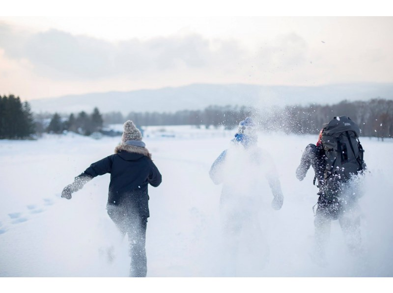 【北海道・支笏洞爺】日本最大の氷筍洞窟へ「大滝氷筍洞窟探訪」の紹介画像