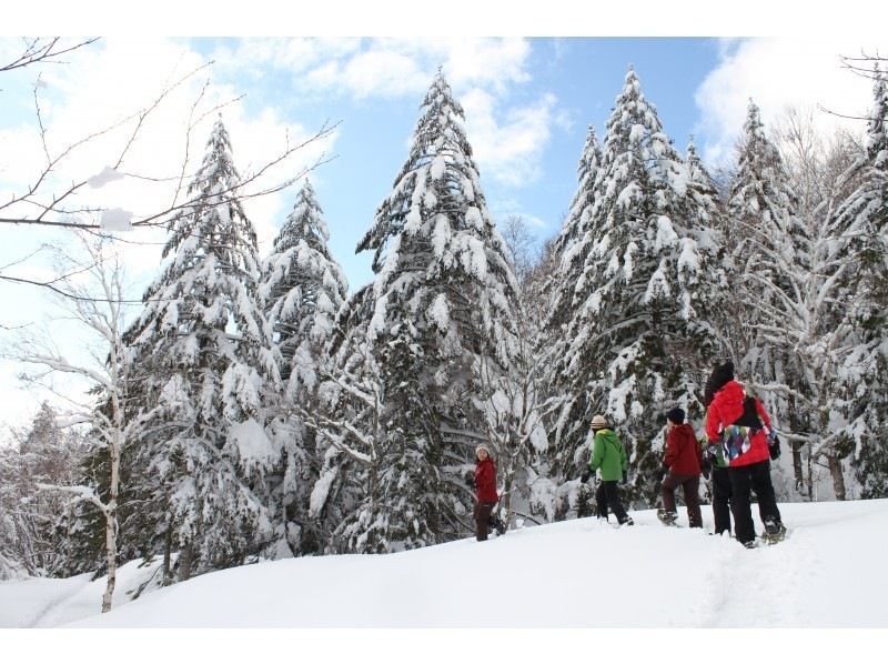 【北海道・支笏洞爺】日本最大の氷筍洞窟へ「大滝氷筍洞窟探訪」の紹介画像