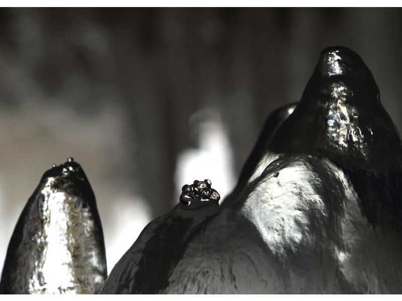 【北海道・支笏洞爺】日本最大の氷筍洞窟へ「大滝氷筍洞窟探訪」の紹介画像