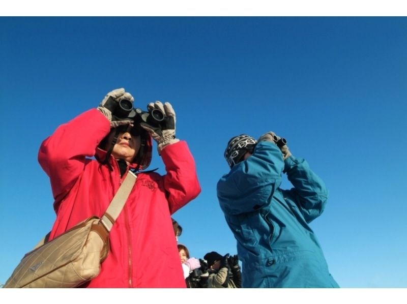 【北海道・網走】冬の網走・半日体験2プラン「ワシ観察&times;スノーシュー」の紹介画像