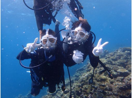 沖縄・慶良間】（地域クーポンご利用可能！）＜水中写真・動画無料