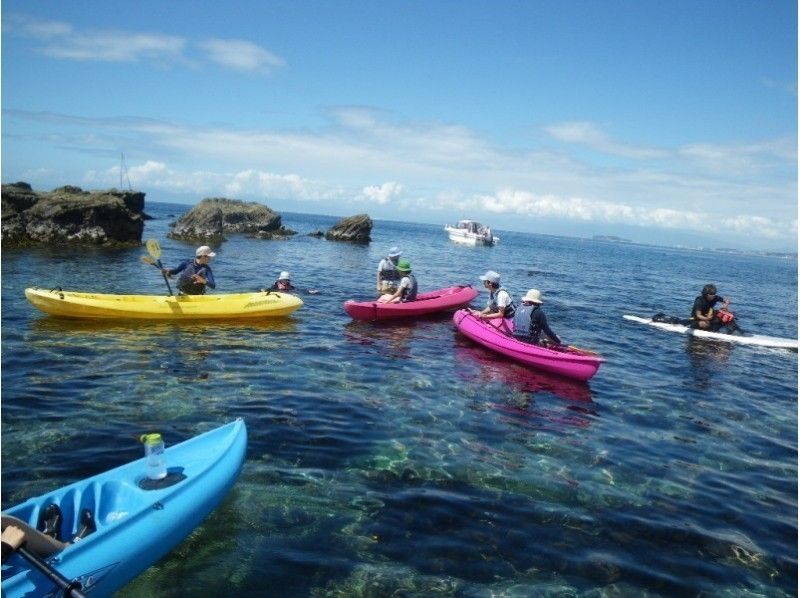 [Kanagawa-Hayama-Akiya Beginner & Family Welcome! ] Experience Kayak(half-day course)の紹介画像