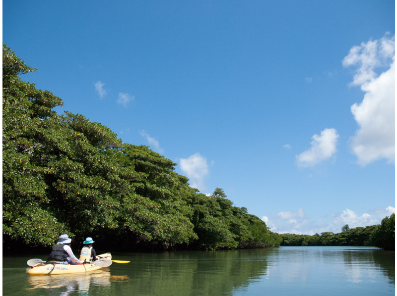 [Okinawa / Ishigaki Island] Miyara River Mangrove Canoeing Experience! Enjoy Petit Adventure ♪ (Up to 80 groups are OK) GoTo Travel Paper Coupons Acceptedの紹介画像
