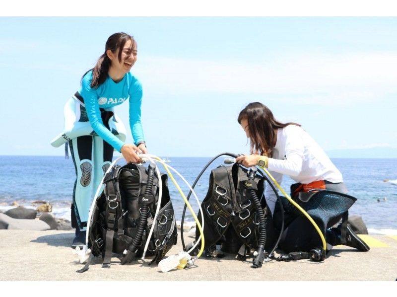 [Gold card issued] Get a scuba diving license at Shirahama!