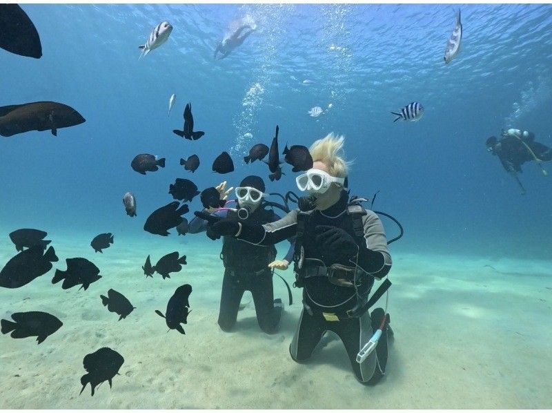 Simple Marine Serviceの割引プラン