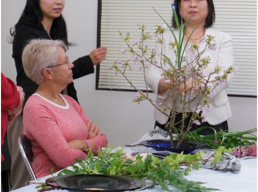 広島 市街 安芸の国めぐり Cool Hiroshima 華道 生け花 体験プラン アクティビティジャパン