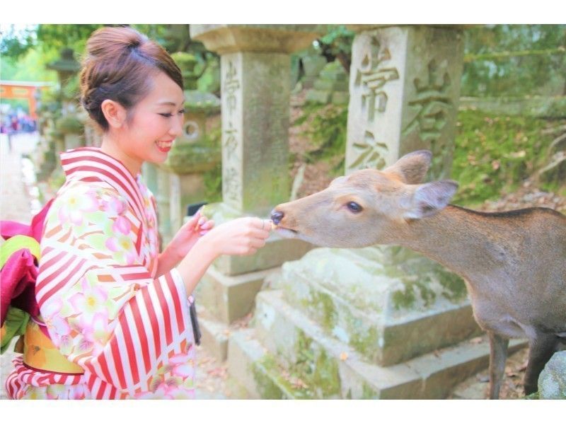 奈良“Waplus Nara” 一位女士租借和服并享受观光