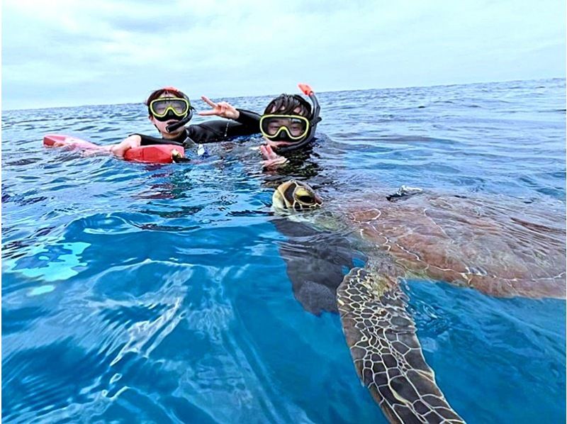 [Ishigaki Island] Same-day reservations OK! Popular NO.1 Sea Turtle High Encounter Rate Blue Cave & Sea Turtle Snorkel << Photo Data, Equipment & Free Pick-up >> Super Summer Sale Now Ongoingの紹介画像