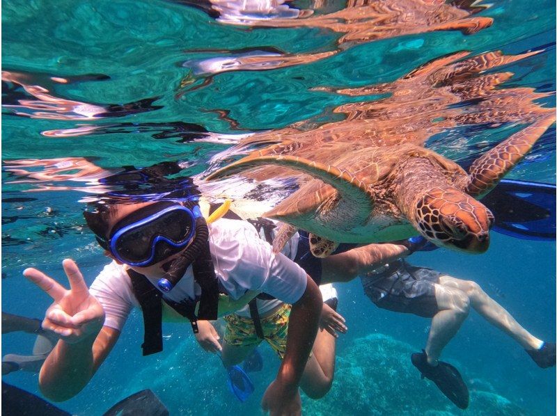 [Ishigaki Island] Same-day reservations OK! Popular NO.1 Sea Turtle High Encounter Rate Blue Cave & Sea Turtle Snorkel << Photo Data, Equipment & Free Pick-up >> Super Summer Sale Now Ongoingの紹介画像