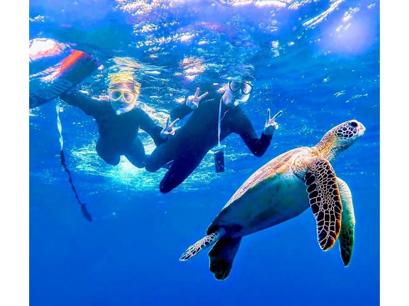[Ishigaki Island] Same-day reservations OK! Popular NO.1 Sea Turtle High Encounter Rate Blue Cave & Sea Turtle Snorkel << Photo Data, Equipment & Free Pick-up >> Super Summer Sale Now Ongoingの紹介画像