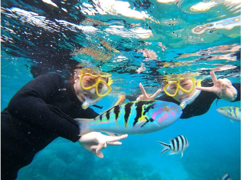 [Ishigaki Island] Same-day reservations OK! Popular NO.1 Sea Turtle High Encounter Rate Blue Cave & Sea Turtle Snorkel << Photo Data, Equipment & Free Pick-up >> Super Summer Sale Now Ongoingの紹介画像