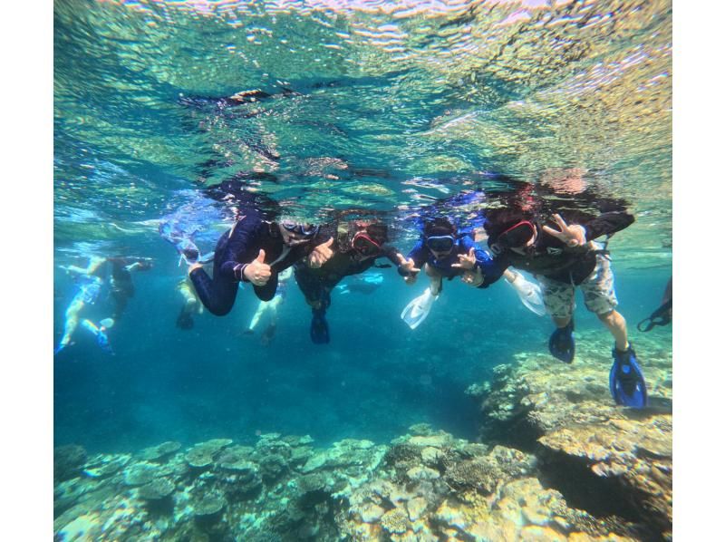 [Ishigaki Island] Same-day reservations OK! Popular NO.1 Sea Turtle High Encounter Rate Blue Cave & Sea Turtle Snorkel << Photo Data, Equipment & Free Pick-up >> Super Summer Sale Now Ongoingの紹介画像