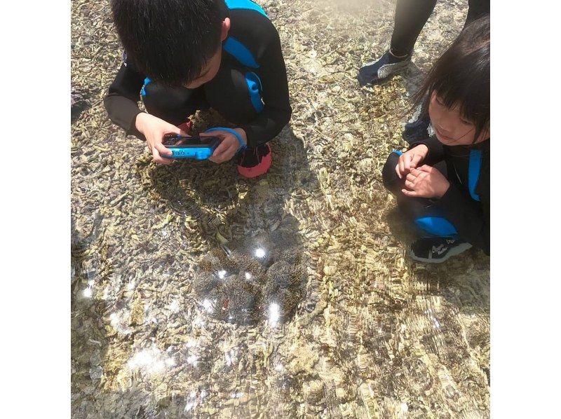 [Ishigaki Island] Same-day reservations OK! Popular NO.1 Sea Turtle High Encounter Rate Blue Cave & Sea Turtle Snorkel << Photo Data, Equipment & Free Pick-up >> Super Summer Sale Now Ongoingの紹介画像