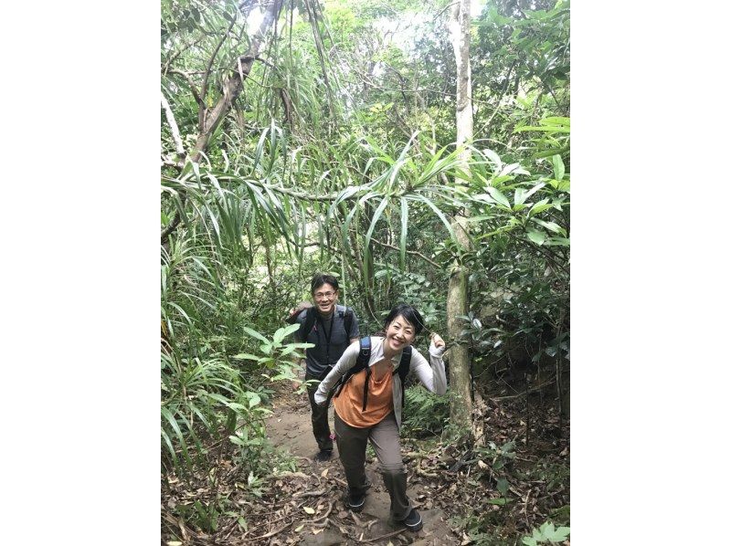 [Okinawa, Iriomote Island] Guide's recommendation! One-day tour of Pinaisara Falls, waterfall top & waterfall basin, canoeing & trekkingの紹介画像