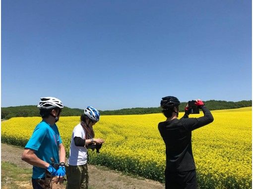 北海道 安平町 女性にオススメ 1日10名 サイクリングで絶景の菜の花畑を巡る アクティビティジャパン