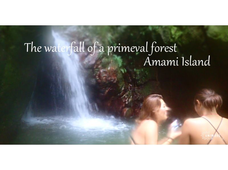 [คาโกชิมา・ Amami Oshima 】 1 ทัวร์ จำกัด 1 ชุด! "ประสบการณ์ดำน้ำ& Nature Tour "มี 4 หลักสูตรの紹介画像
