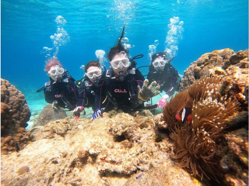 [Kagoshima ・ Amami Oshima】 Entry from the beach of Asaba ♪ Beginner peace of mind experience Diving Tours half-day or 1 dayの紹介画像