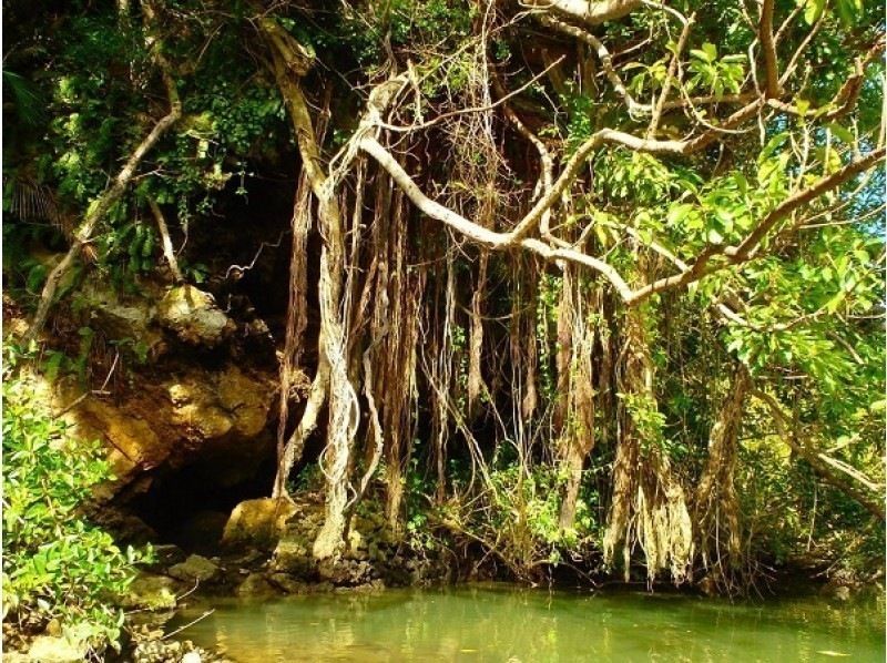 フィッシング+カヤックの大人気セットプラン！《当日予約OK・初心歓迎・写真データ無料・釣れたお魚はお食事可》の紹介画像