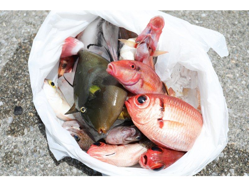 フィッシング+カヤックの大人気セットプラン！《当日予約OK・初心歓迎・写真データ無料・釣れたお魚はお食事可》の紹介画像