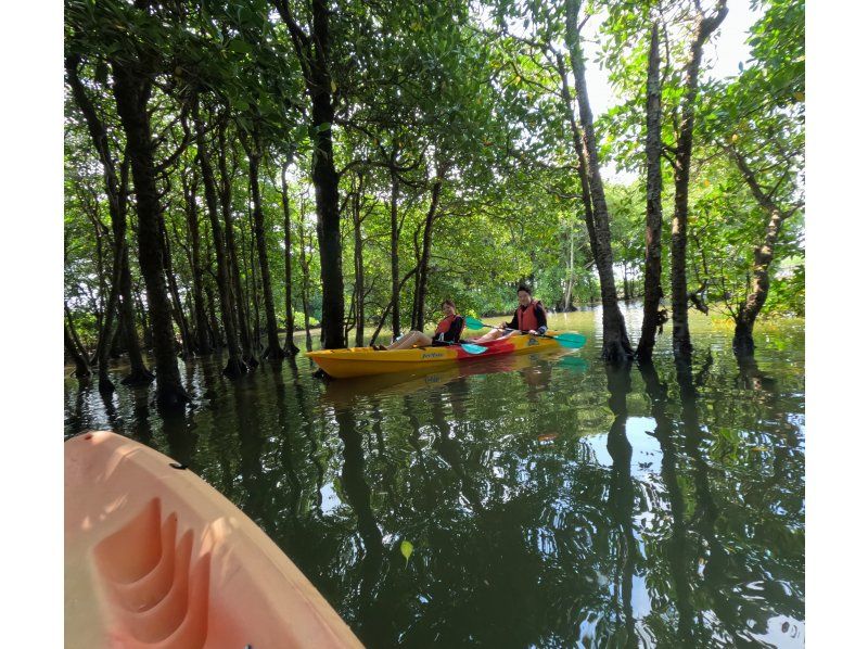 【沖縄・億首川】沖縄県カヤック・カヌー協会公認ガイドと行く・マングローブ林&rarr;海&rarr;ビーチ上陸・初心者でも２度目の参加でも楽しめる・無料撮影付の紹介画像