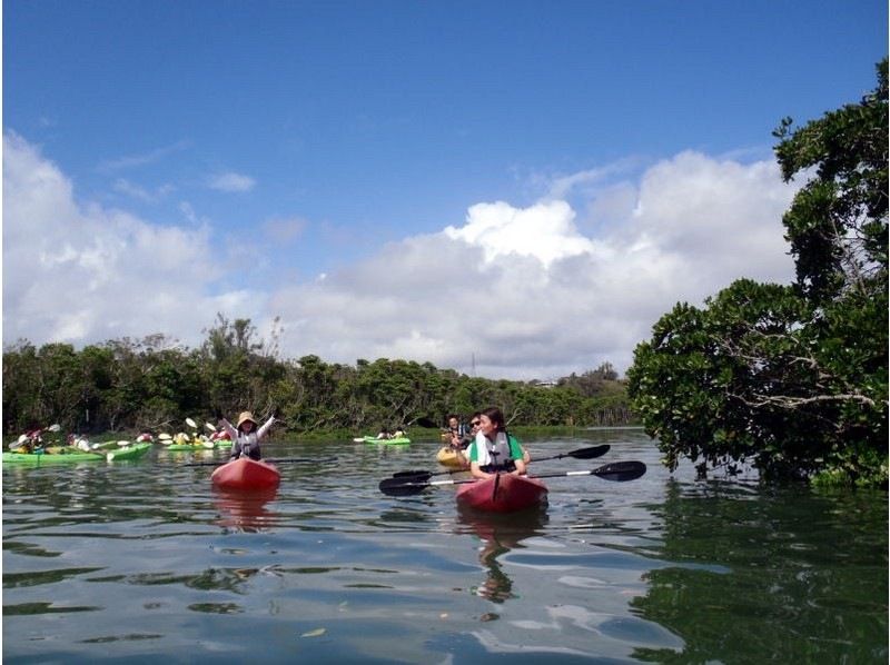 [Okinawa ・ Okukubi River] mangrove kayak, river-sea-local beach landing adventure tour