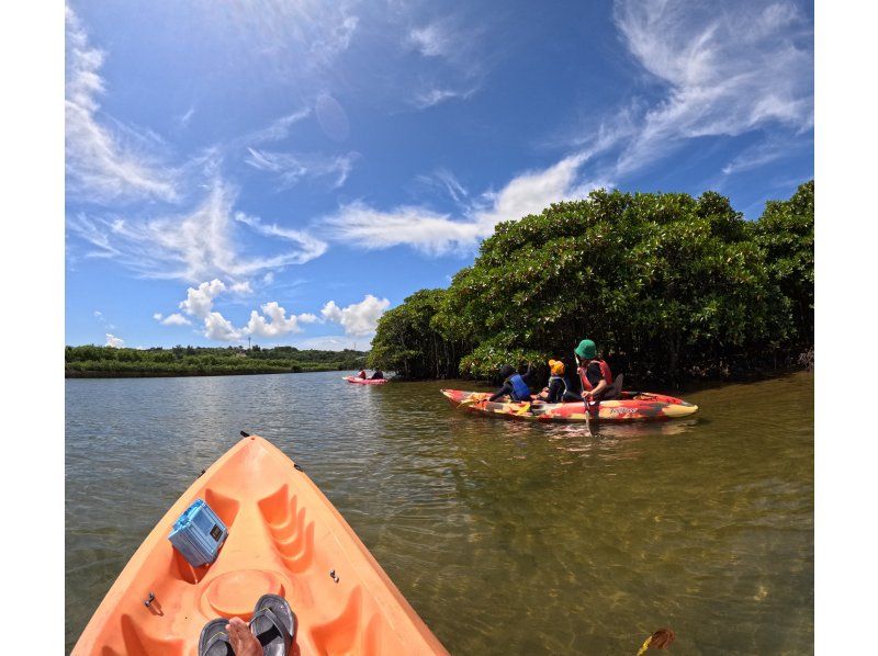 【沖縄・億首川】沖縄県カヤック・カヌー協会公認ガイドと行く・マングローブ林&rarr;海&rarr;ビーチ上陸・初心者でも２度目の参加でも楽しめる・無料撮影付の紹介画像