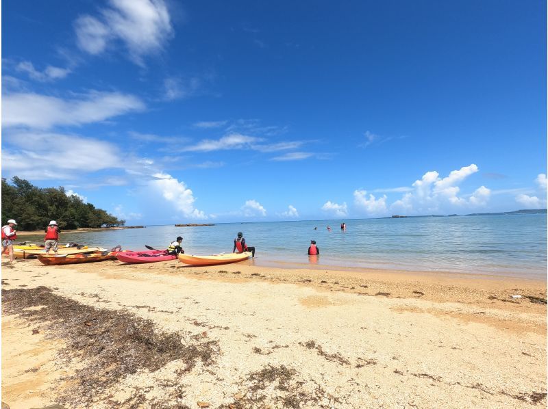 【沖縄・億首川】沖縄県カヤック・カヌー協会公認ガイドと行く・マングローブ林&rarr;海&rarr;ビーチ上陸・初心者でも２度目の参加でも楽しめる・無料撮影付の紹介画像