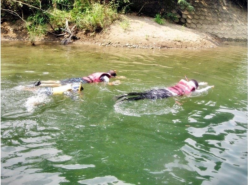 【宮崎・青島】Paia集合：リバートレッキング（川遊び）ツアー！4歳から参加可能♪ ★ガイド同伴です是非ご家族で：RT150の紹介画像