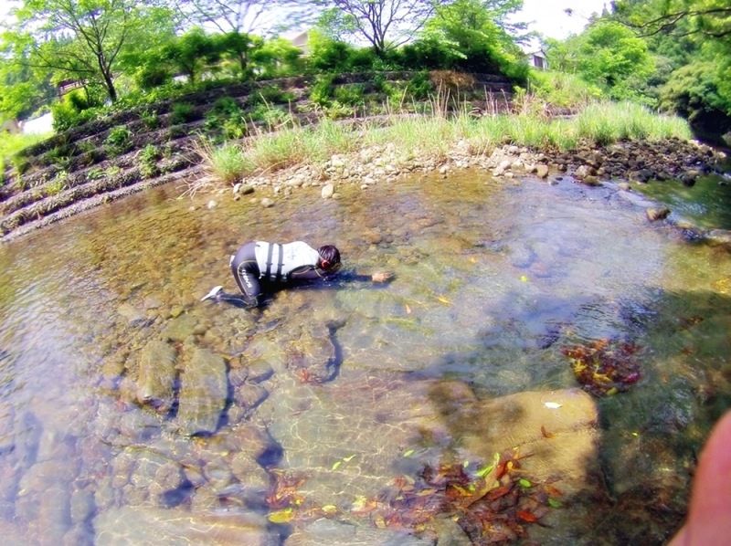 【宮崎・青島】Paia集合：リバートレッキング（川遊び）ツアー！4歳から参加可能♪ ★ガイド同伴です是非ご家族で：RT150の紹介画像