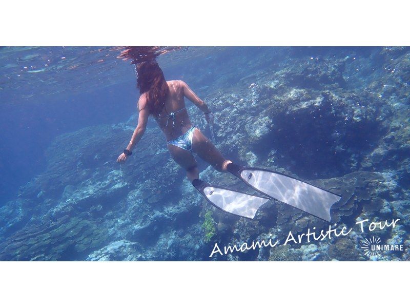 Spectacular Amami Skin Diving Tour | Beach entry into a world of wonder! (Half-day or Full-day)の紹介画像